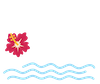 Mahina Surf